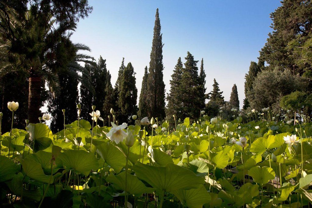 Villa Della Pergola Relais Et Chateaux Алассио Экстерьер фото